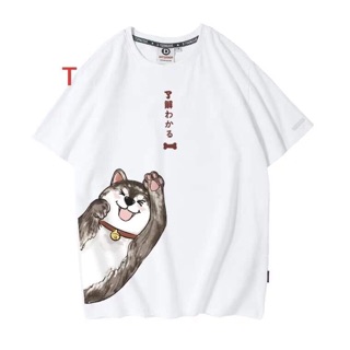 Áo thun mèo lấp ló - TR