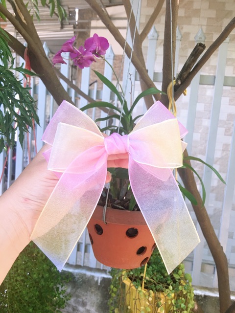 Kẹp nơ voan nhũ cầu vồng