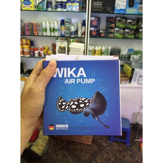 Sủi Bể Cá Wika