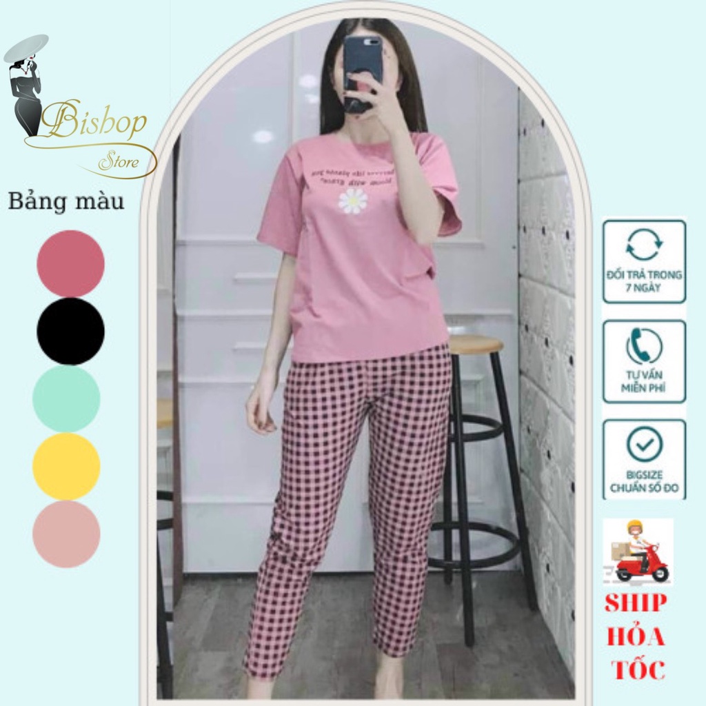 Đồ bộ nữ mặc nhà, đồ bộ thun dài, đồ bộ thun cotton, set đồ bộ kiểu, đồ bộ trung niên, đồ ngủ nữ bigsize 45-85kg mã: ĐBD