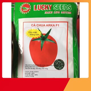 Hạt giống cà chua ấn độ chịu nóng hat giong ca chua