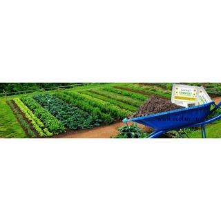 ☘ Vi sinh ủ phân hữu cơ, rác thải, bã mía - EcoClean Compost (USA)