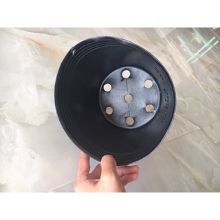 Chậu nhựa đen C8