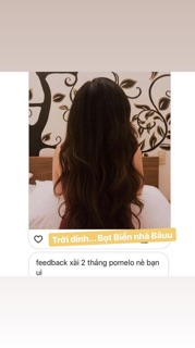 Pomelo pro tinh dầu bưởi mọc tóc