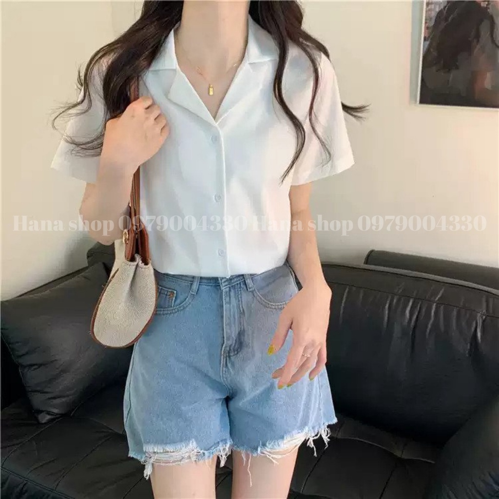 Áo sơ mi tay ngắn cổ Vest màu trắng, đen, vàng, hồng, xanh bơ