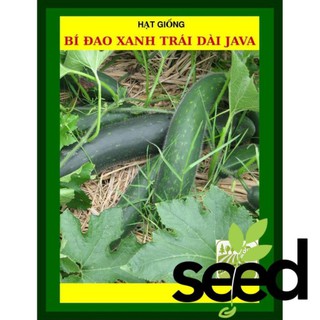 Hạt Giống Bí Đao Xanh Trái Dài F1 Java 0.2 Gram