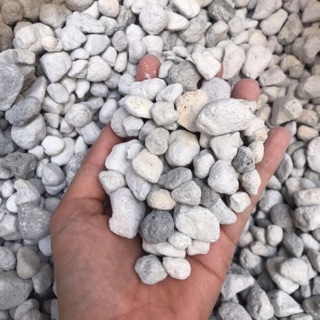 Vật Liệu lọc CONTINUUM BACT- ROX(100ml/200ml)