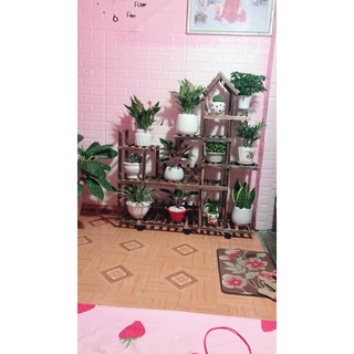 Kệ cây cảnh