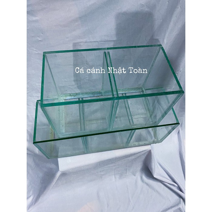 HỒ KÍNH NUÔI CÁ BETTA 1 ĐỀN 3 NGĂN KÍNH DÀY 3MM