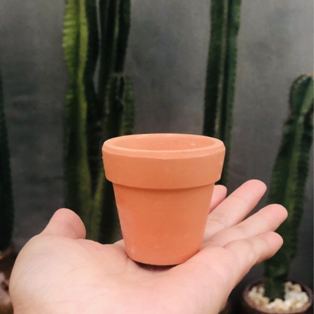 Chậu đất nung mini