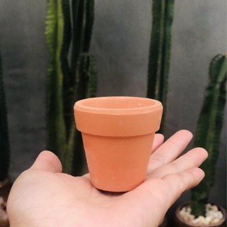 Chậu đất nung mini
