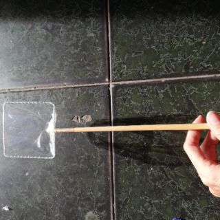 Vợt bắt cá thủy sinh, vợt vớt nước
