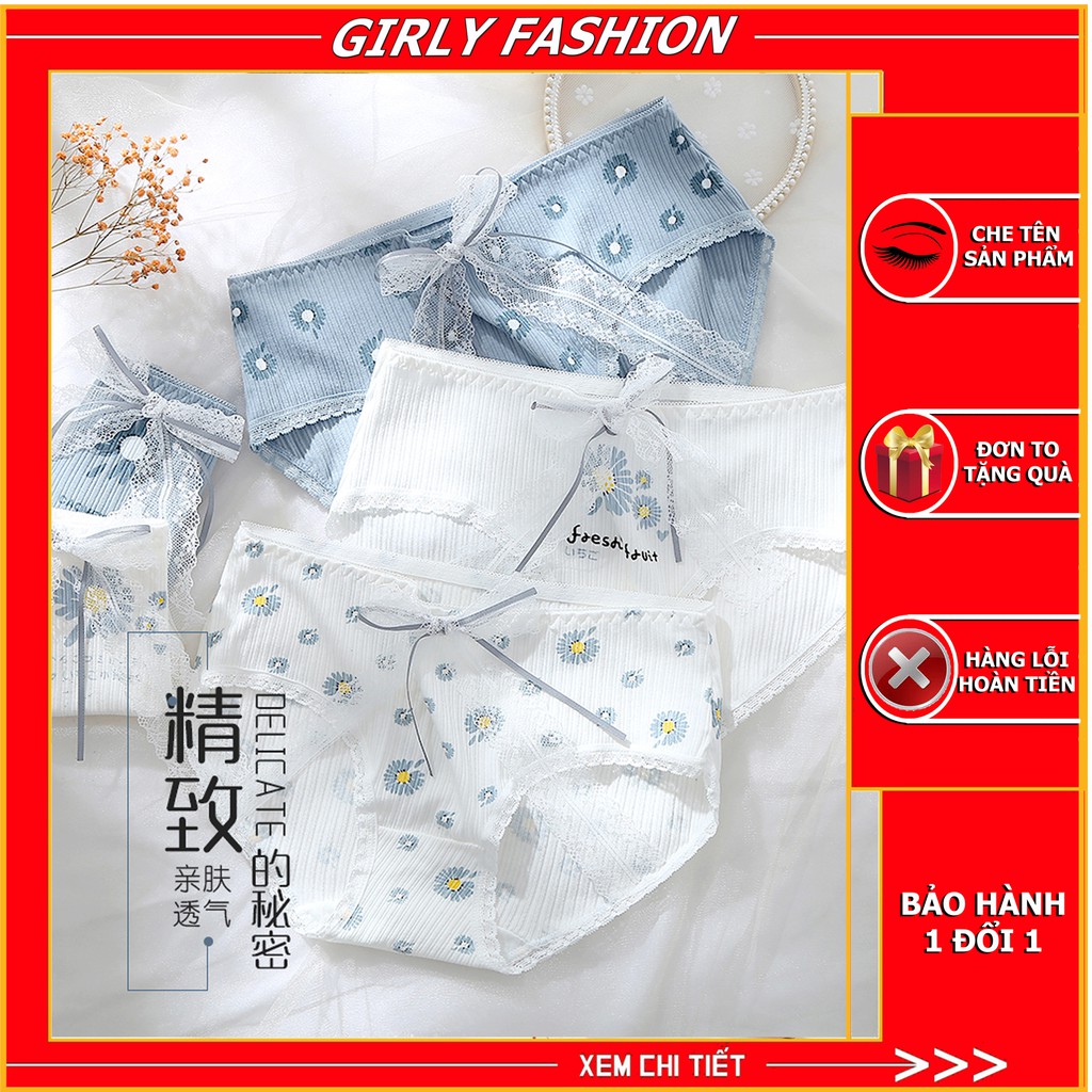 Hộp 5 Quần Lót Nữ ❤️️HÀNG CAO CẤP❤️️ Quần Lót Cotton họa tiết dễ thương, siêu cute