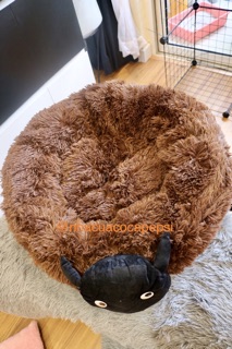 Nệm cho chó mèo hình cừu con (big size)