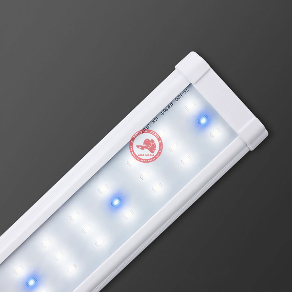 Đèn LED Cho Hồ Thủy Sinh - Đèn LED Gán Thành Hồ Cá Tép