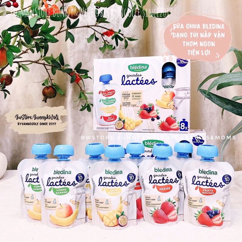 Sữa Chua Hoa Quả Bledina Gourdes Lactees Pháp cho bé từ 10m+ - Túi 85g