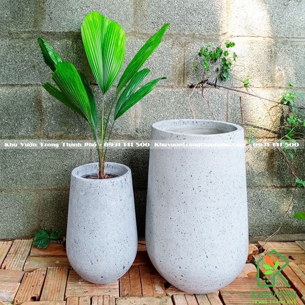 Chậu Đá Mài Giọt Nước 20x35cm, chậu đá mài trồng cây nội thất