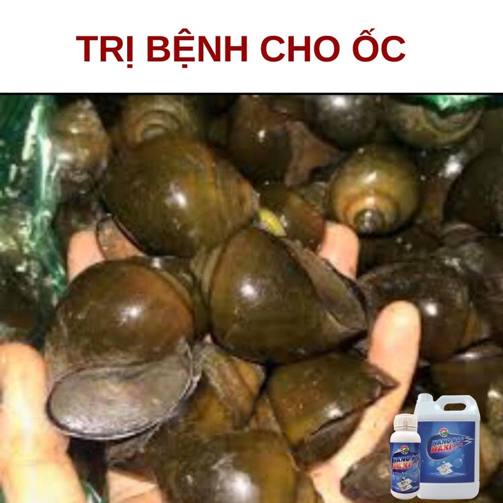 Nano bạc Haki xử lý nước ao nuôi và phòng trị bệnh cho thủy sản (can 5L)