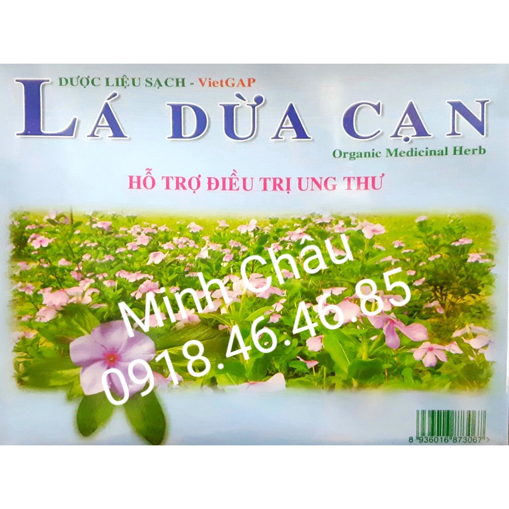 Trà Lá dừa cạn