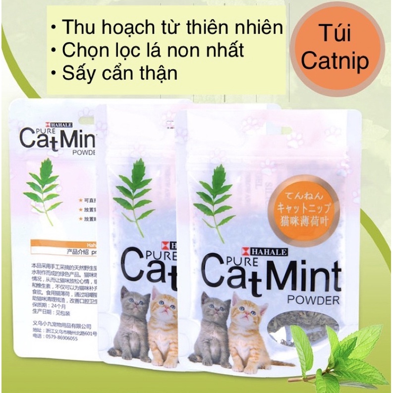 Cỏ Bạc Hà Mèo Catnip Hahale