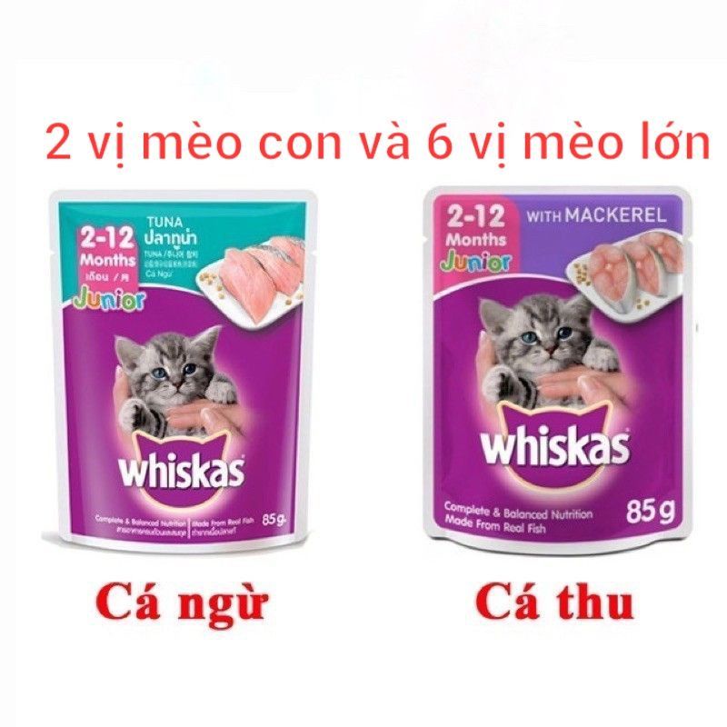 Pate Mèo con, mèo lớn Whiskas 80g thức ăn dinh dưỡng cho mèo