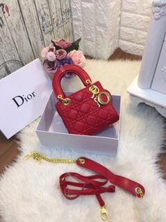 túi xách dior full box