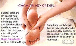 Tinh dầu tràm Cầu Bình An