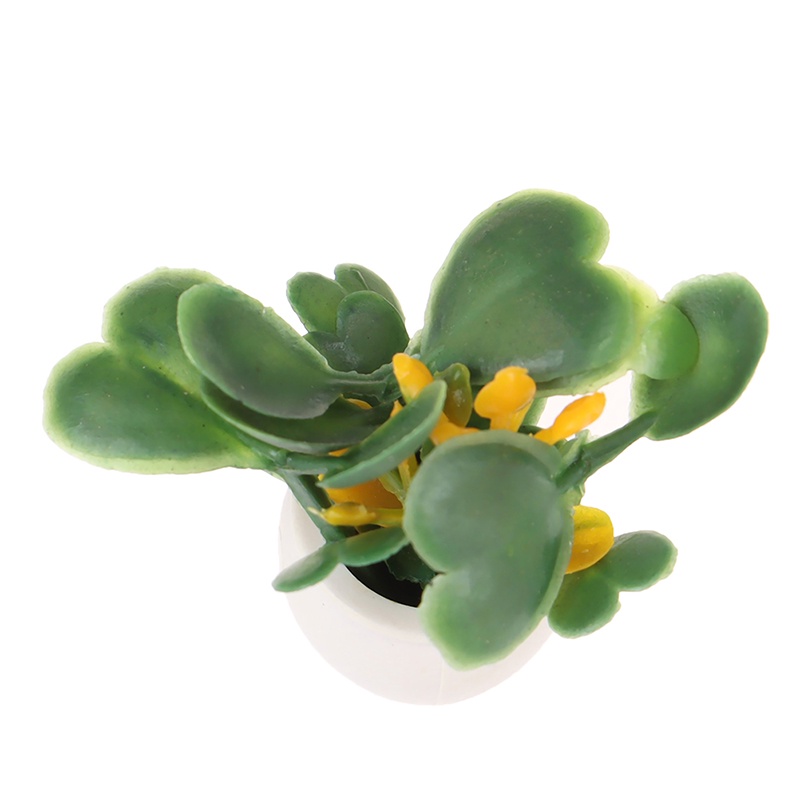 Bộ 2 Mô Hình Chậu Xanh Mini Tỉ Lệ 1: 12 Trang Trí Nhà Búp Bê
