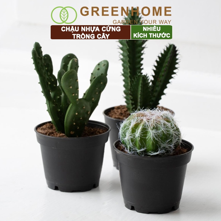 Chậu nhựa trồng cây Greenhome, nhiều size, nhựa cứng, thoát nước tốt, đa dạng kích thước trồng cây, hoa, kiểng lá