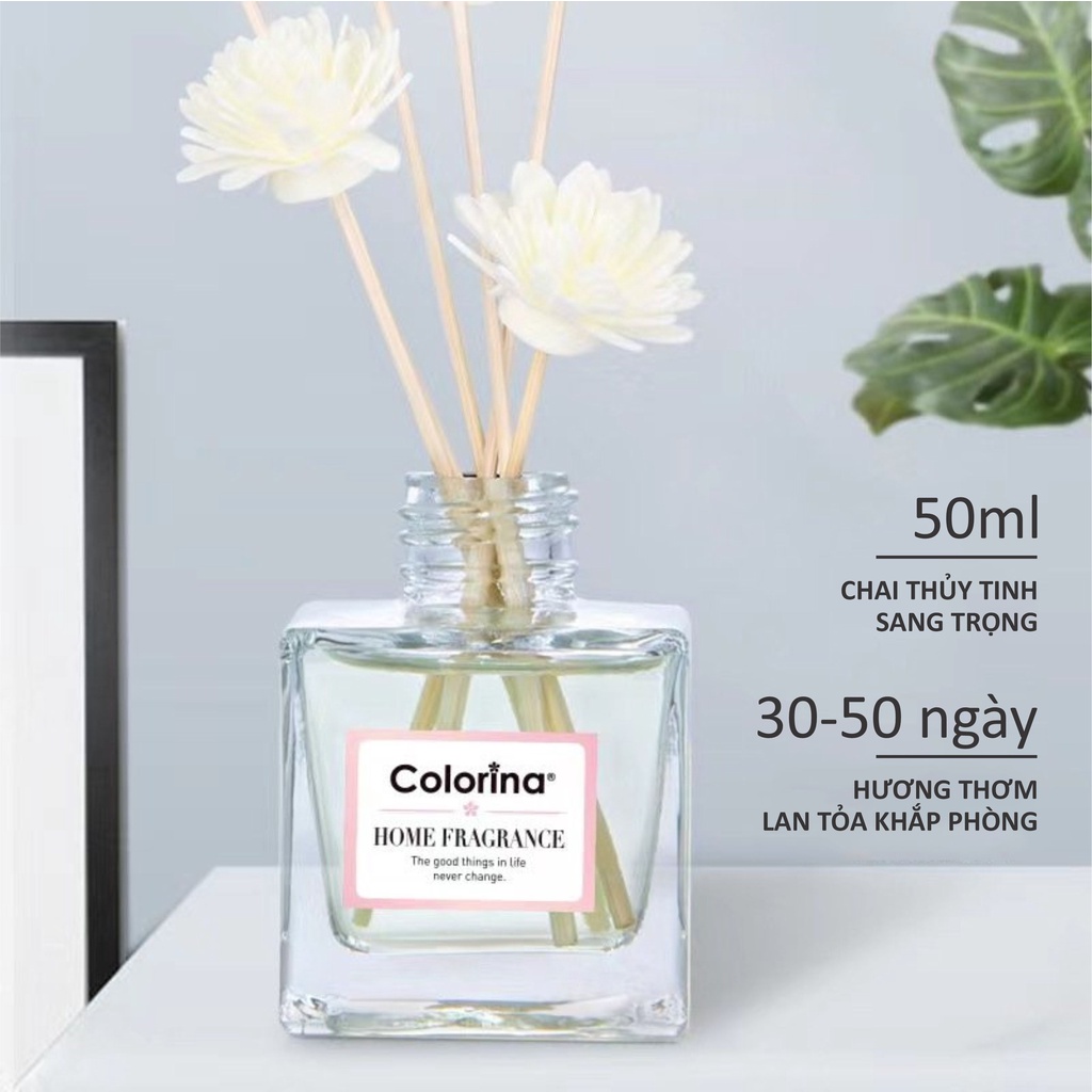 Tinh Dầu Nước Hoa Gỗ Mây ECODEALS - Khử mùi khó chịu, ẩm mốc, mồ hôi, thuốc lá, ... 30-50 ngày - Chai 50ml