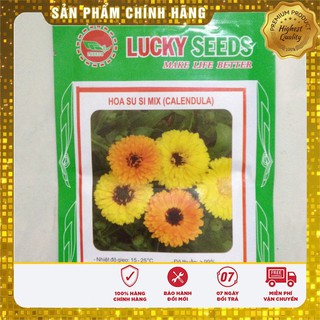 Hạt Giống Hoa Cúc Su Si Mix (50 hạt )
