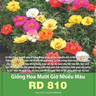 Hạt giống hoa mười giờ Mỹ kép Rado 810