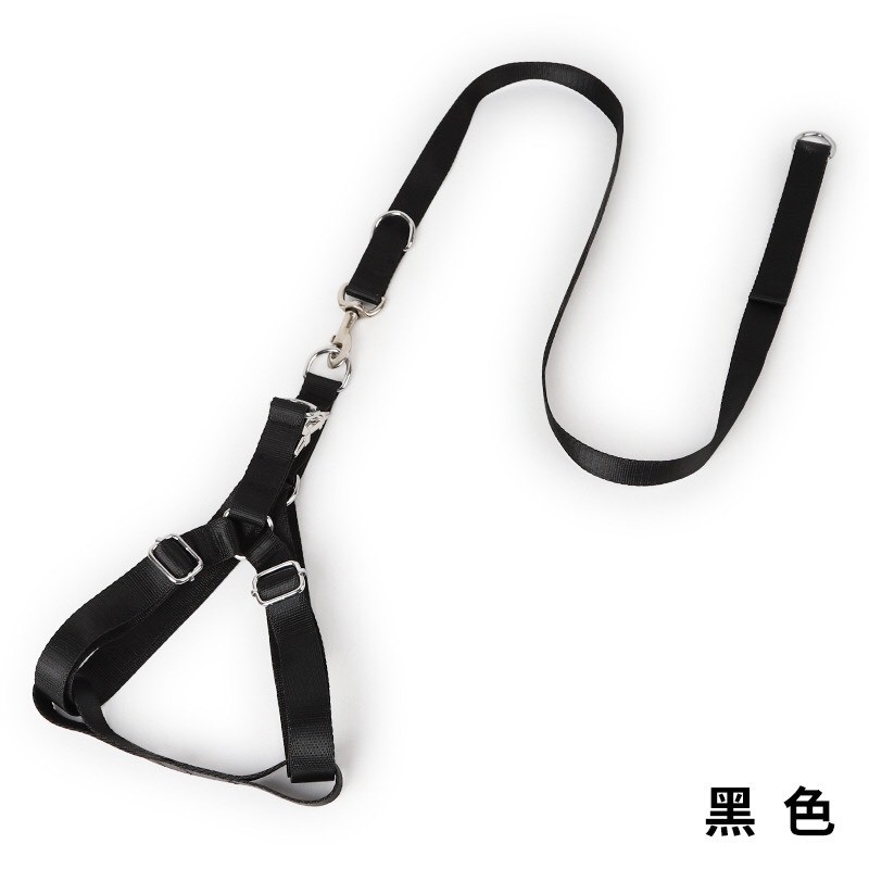 DÂY DẮT CHÓ ALASKA, HUSKY, BECGIE - DÂY DẮT CHÓ TO