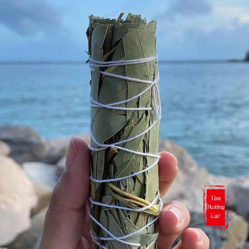 Xô thơm Bạch Đàn  Eucalyptus Sage thanh tẩy nhà cửa, tái tạo năng lượng, thảo mộc xông nhà bạch đàn
