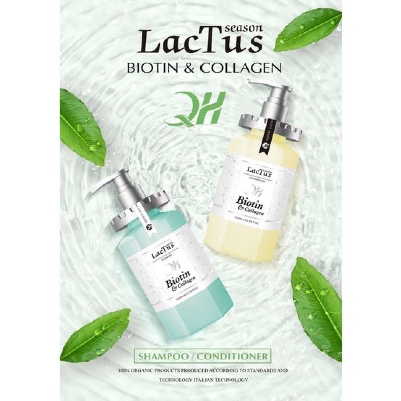 Dầu Gội Biotin Lactus Season Giảm Rụng Tóc, Ngăn Gàu Dưỡng Ẩm QH lactus Season Biotin Collagen Cặp 650ml.