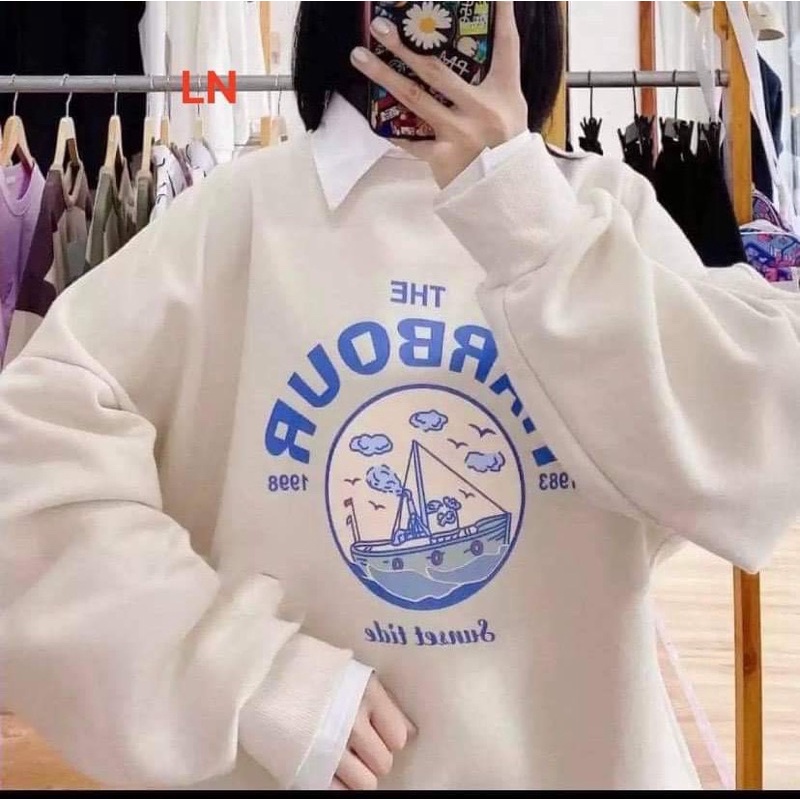 Áo nỉ bo HAR LN11