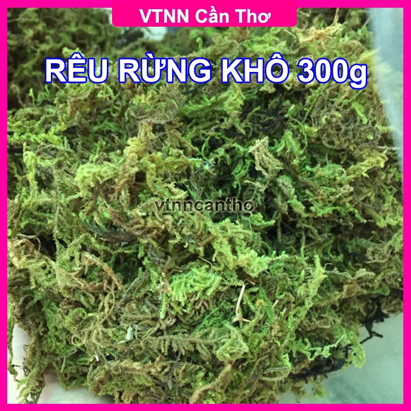300g Rêu Rừng Khô Trồng Lan - VTNN Cần Thơ