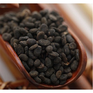 Bổ Cốt Chỉ ( Phá Cố Chỉ ) bổ thận tráng dương