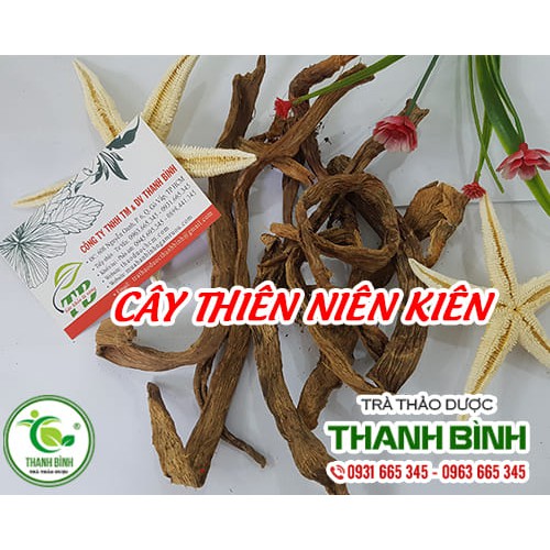 Thiên Niên Kiện 100Gr Từ Phong Tê Thấp Đau Nhức Xương Khớp, Vôi Cột Sống