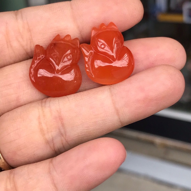 Hồ ly Sunstone 🌞🌞🌞