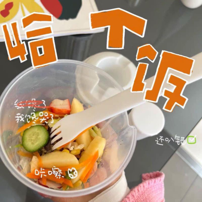 Cốc Trộn Salad Siêu Tiện,Siêu Xinh,Siêu Rẻ Mang Đi Làm