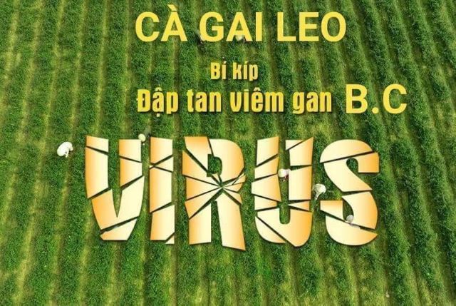 2 hộp cà gai leo mật ong mát gan, thải độc gan