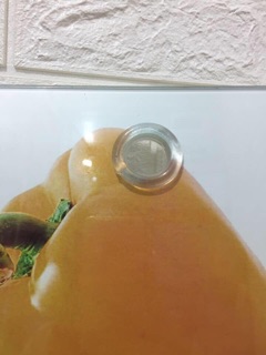 Thớt cường lực 3d