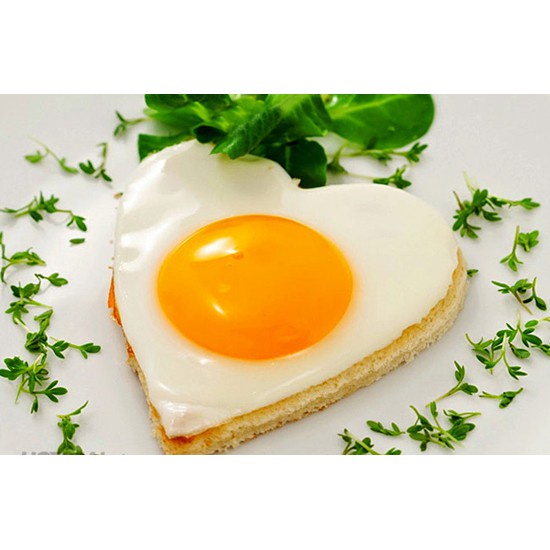 Khuôn Rán Trứng Cute, Khuôn Bánh ( được chọn hình )1613 Lamon Store