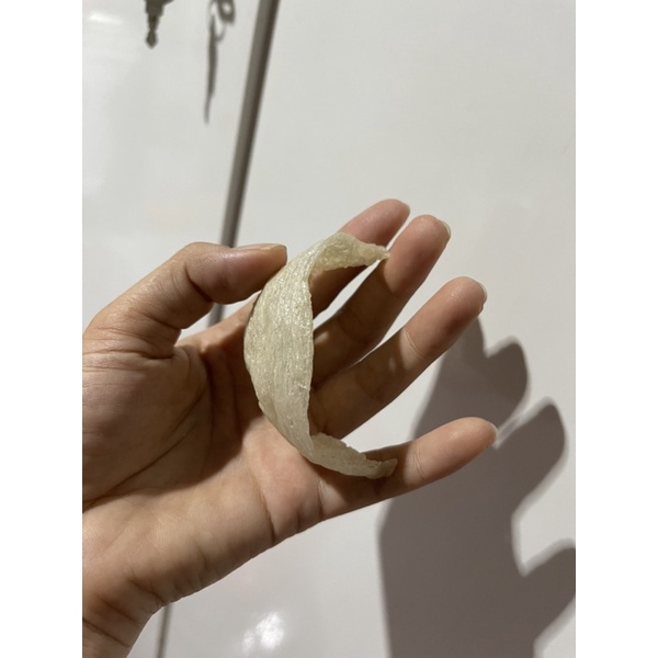 1 Tổ Yến Đã Làm Sạch Yến Nguyên Chất 100% Đã nhặt Sạch Lông Và Tạp Chất shop tặng kèm đồ chưng đủ vị