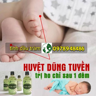 Tinh Dầu Tràm Gió Bà Điểm 10ml
