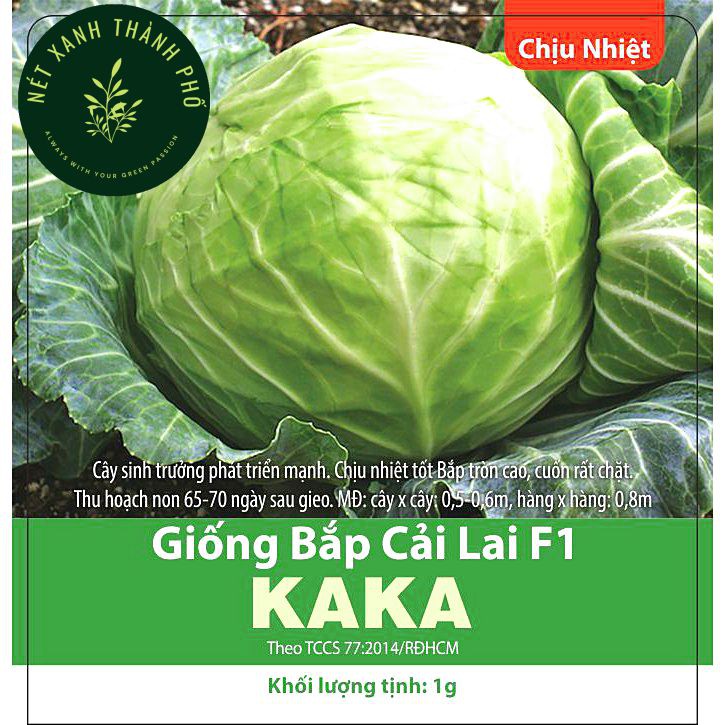 Hạt giống Bắp Cải Kaka, 0,5gr, bắp cải chịu nhiệt