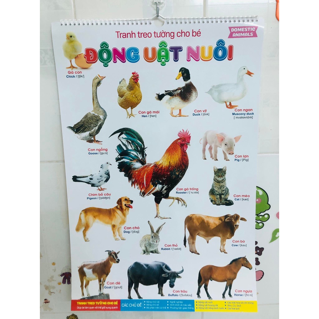 Tranh treo tường cho bé làm quen với động vật trái cây rau củ chữ cái và thế giới xung quanh