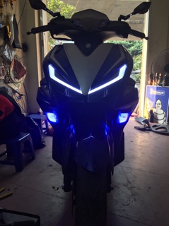 Mí led NVX 1 màu