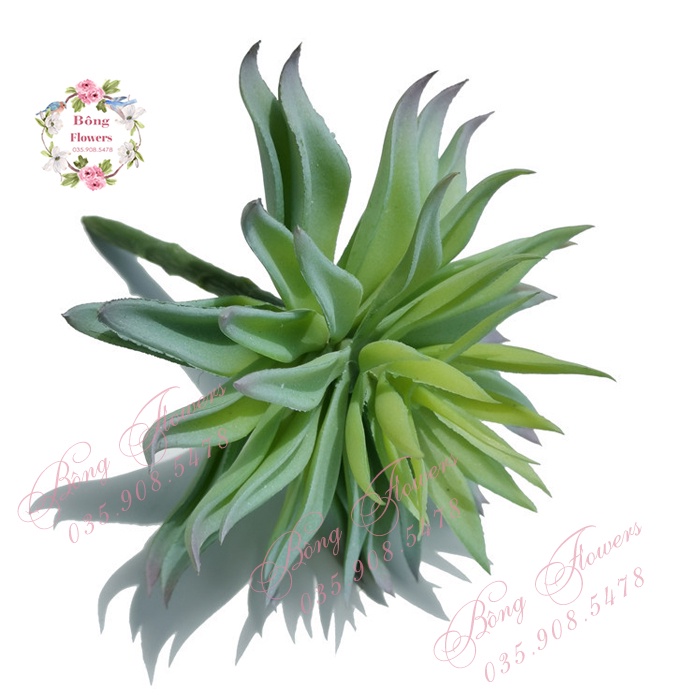 Hoa Giả - Hoa Sen Đá Nhiều Lớp Đường Kính Bông 14 cm